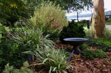 Landscape Installation Services for Madison Connecticut.