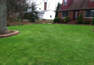 Organic Lawn Care Services for Quaker Hill Connecticut.