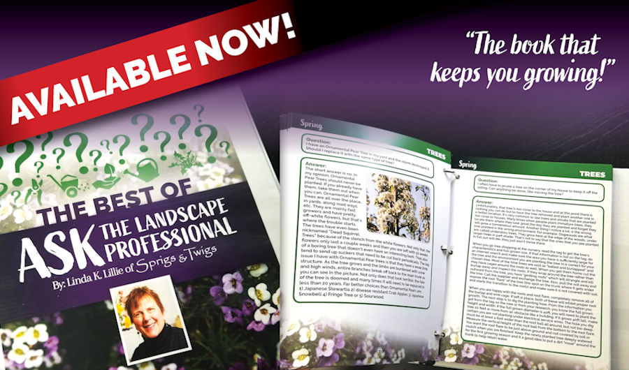 Learn more about landscaping and caring for your plants, trees, and lawn by getting our book, The Best of Ask The Landscape Professional