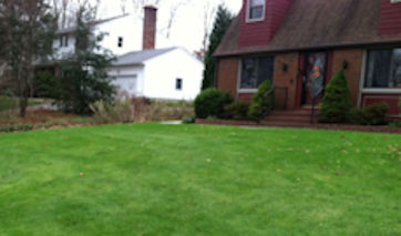 Organic Lawn Care and Lawn Mowing Services for East Lyme, Niantic, Old Lyme, Ledyard, Groton, and Mystic.